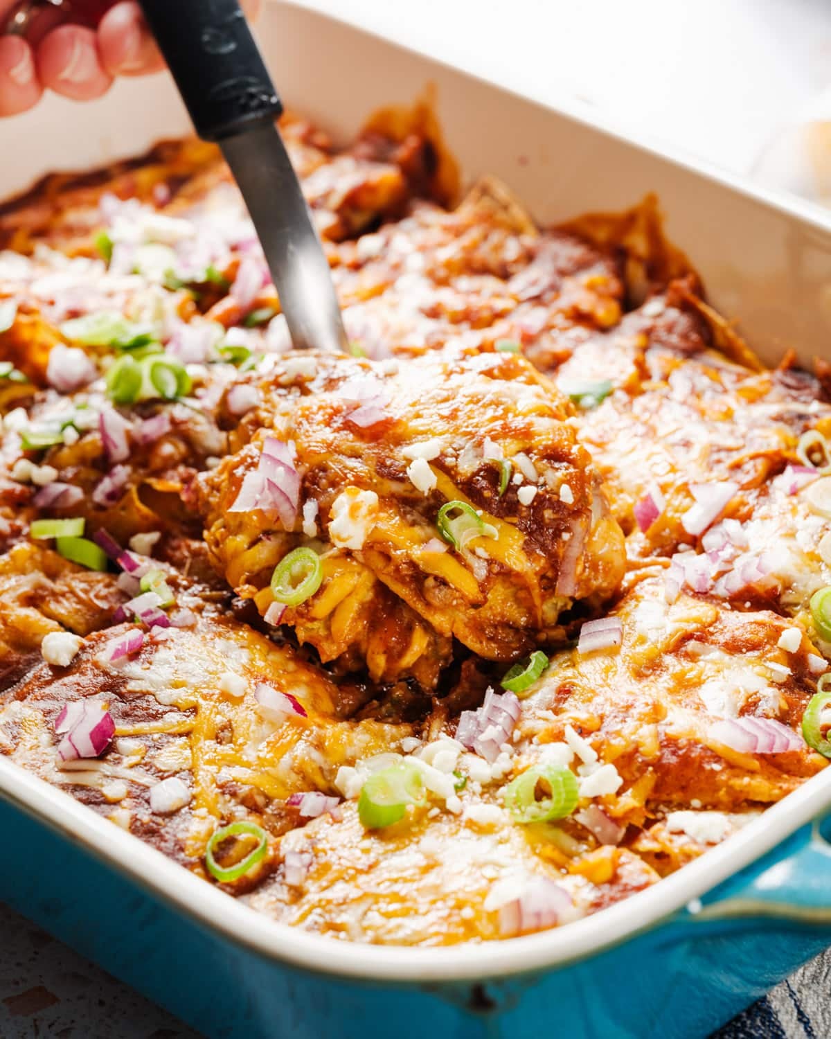 Nutritious and Budget-Friendly Vegetarian Recipes for Every Day